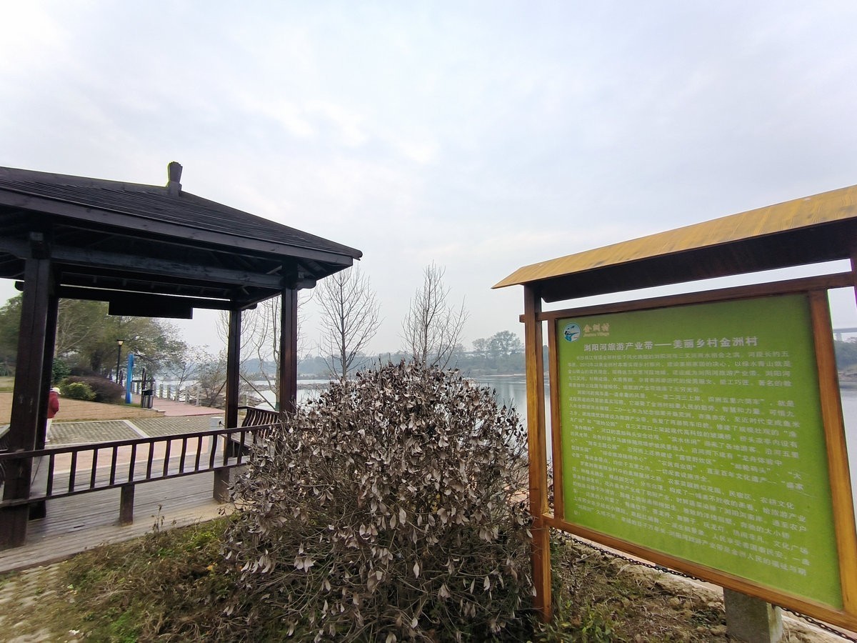 漫步星城 走街串巷（602）金洲村