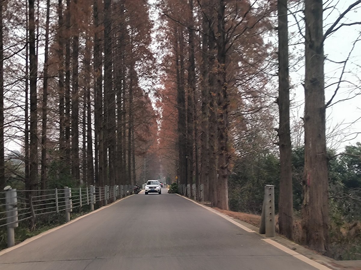 漫步星城 走街串巷（602）金洲村