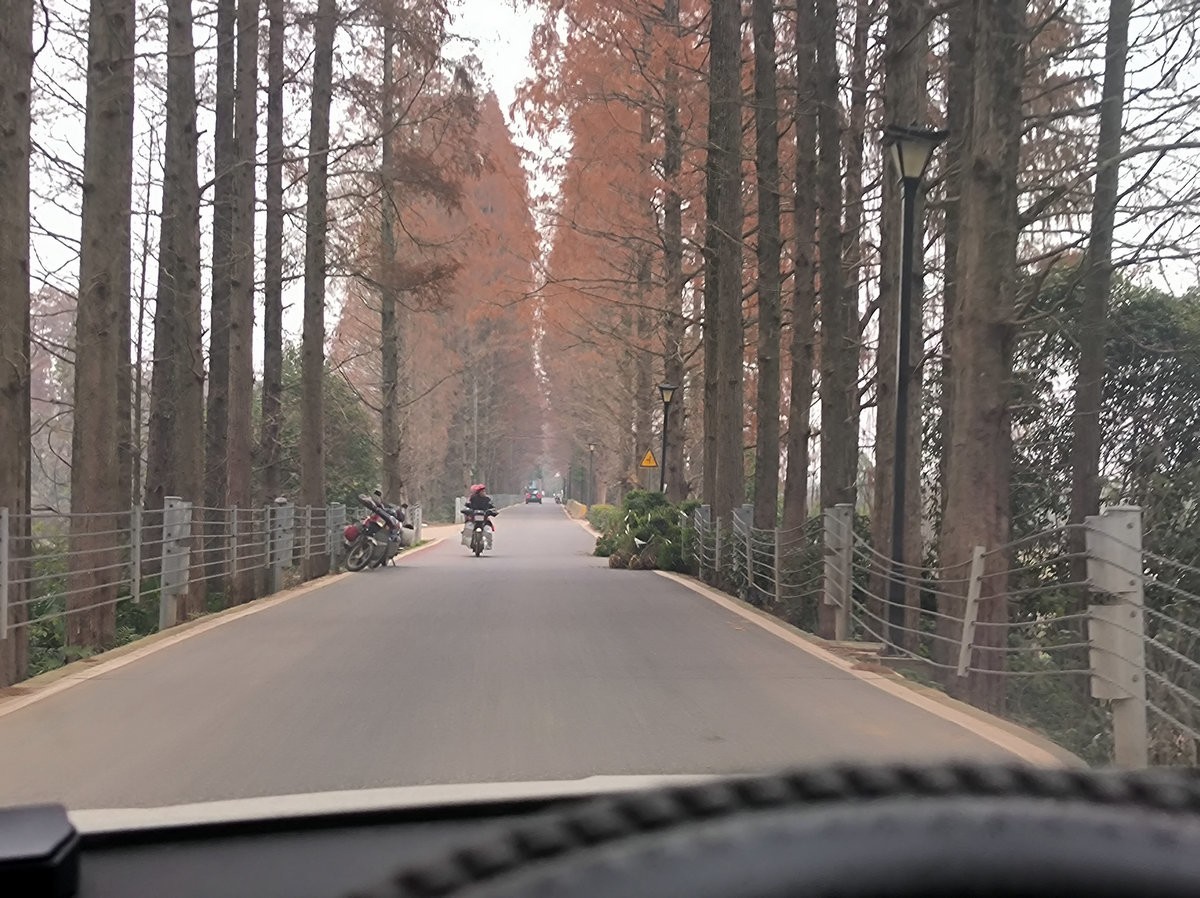 漫步星城 走街串巷（602）金洲村