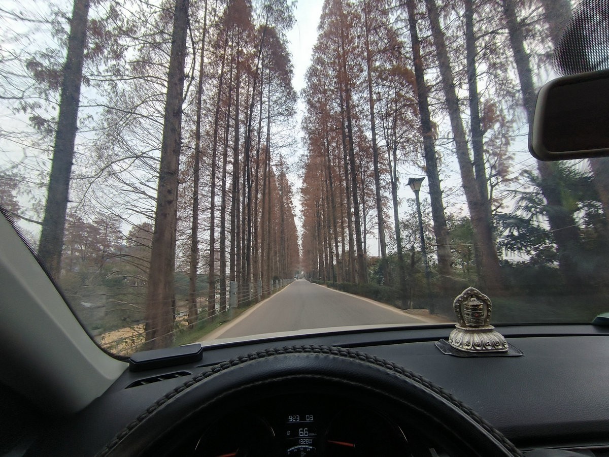 漫步星城 走街串巷（602）金洲村