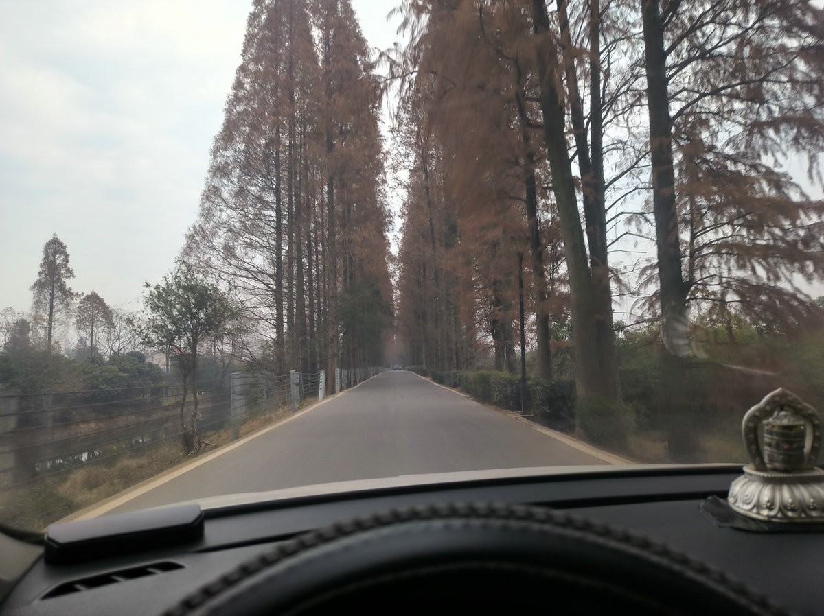 漫步星城 走街串巷（602）金洲村