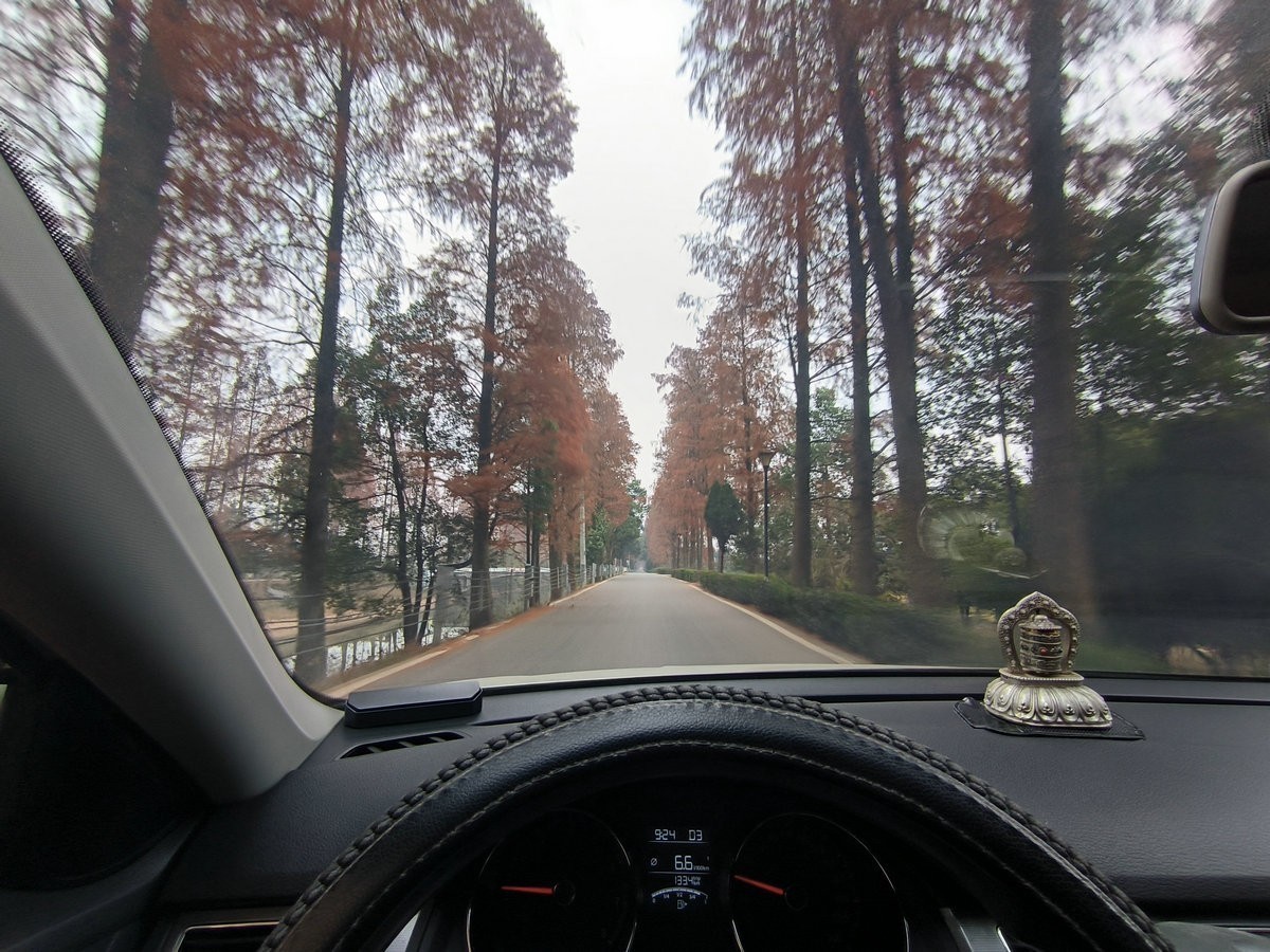 漫步星城 走街串巷（602）金洲村