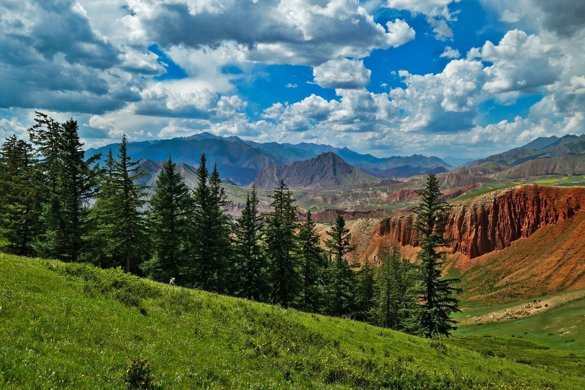 我只是把出去看到的随手记录下来（六十八）