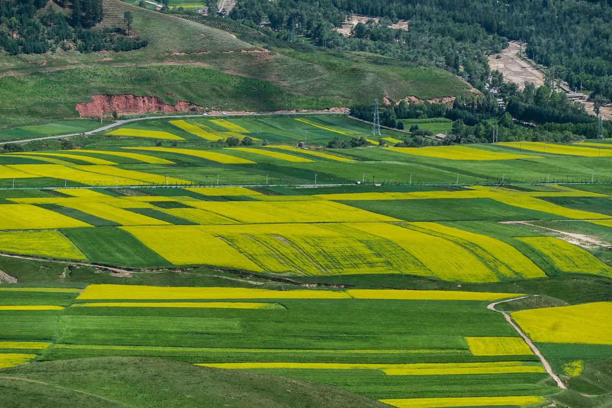 我只是把出去看到的随手记录下来（六十八）