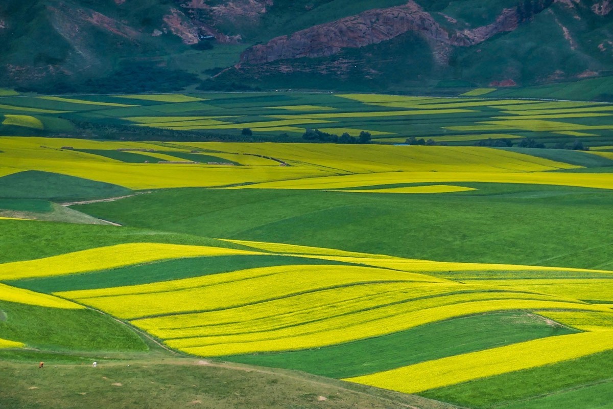 我只是把出去看到的随手记录下来（六十八）