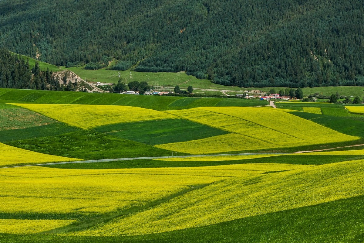 我只是把出去看到的随手记录下来（六十八）