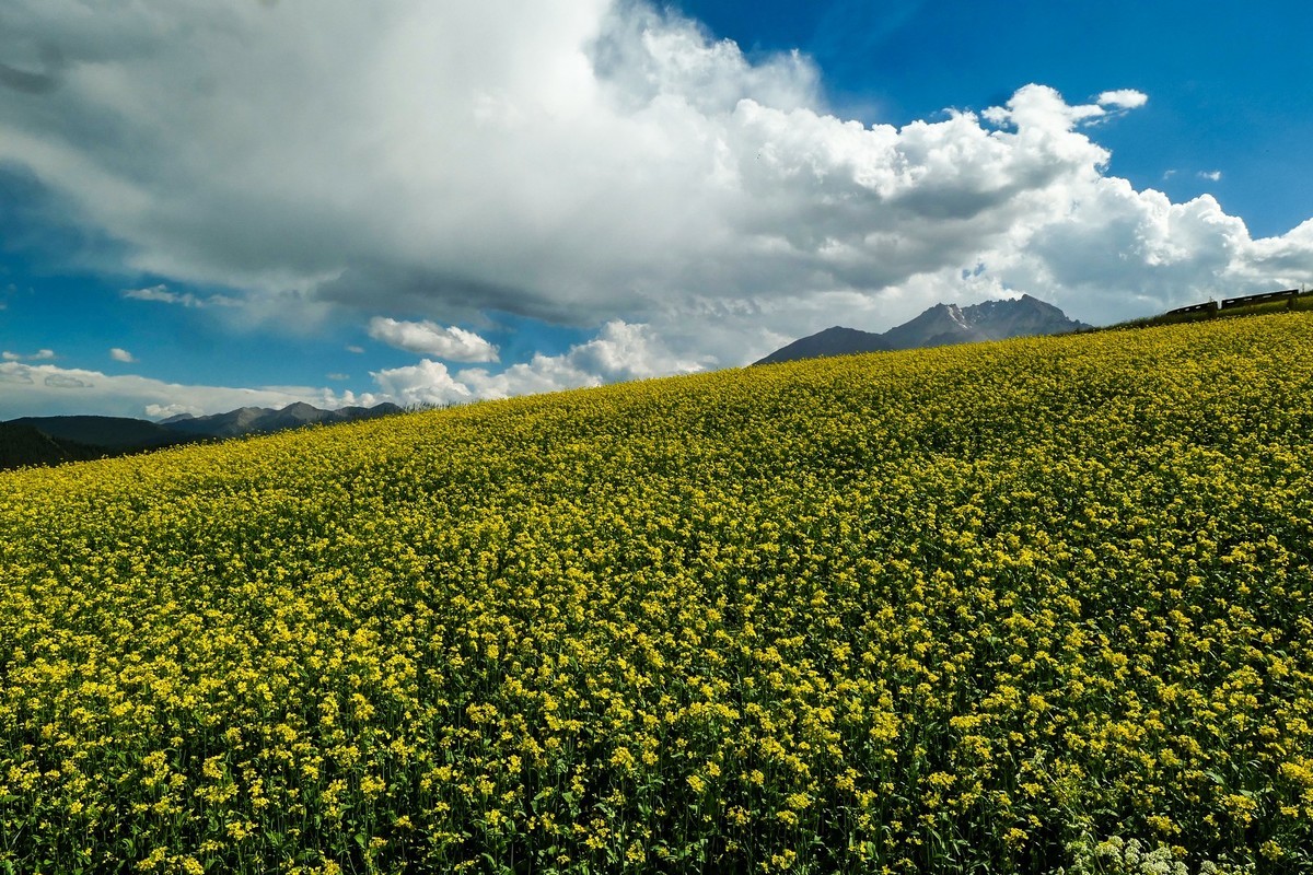我只是把出去看到的随手记录下来（六十八）