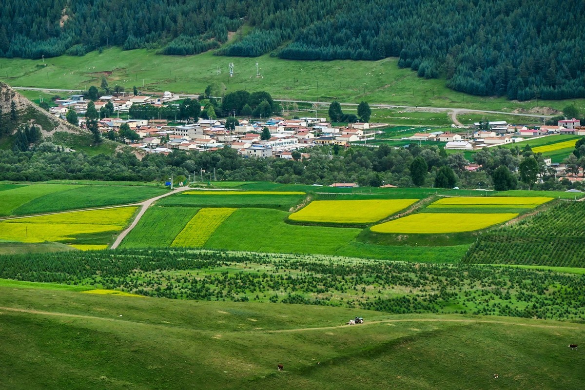 我只是把出去看到的随手记录下来（六十八）