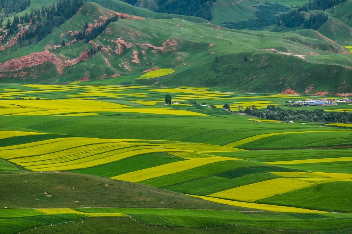 我只是把出去看到的随手记录下来（六十八）