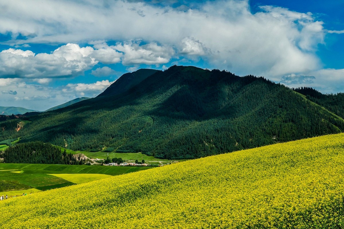 我只是把出去看到的随手记录下来（六十八）