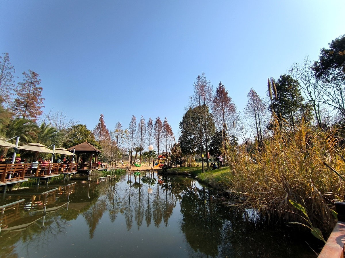 漫步星城 走街串巷（607）郊野山水之间