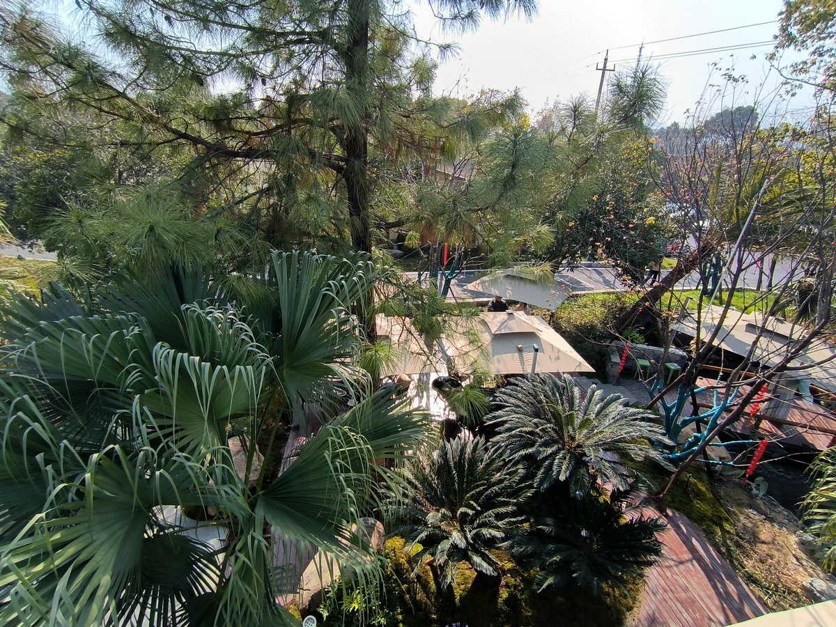 漫步星城 走街串巷（607）郊野山水之间