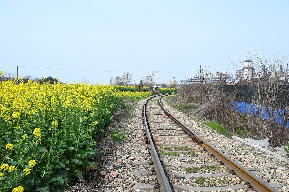 Z28-75 F2.8新镜头试机