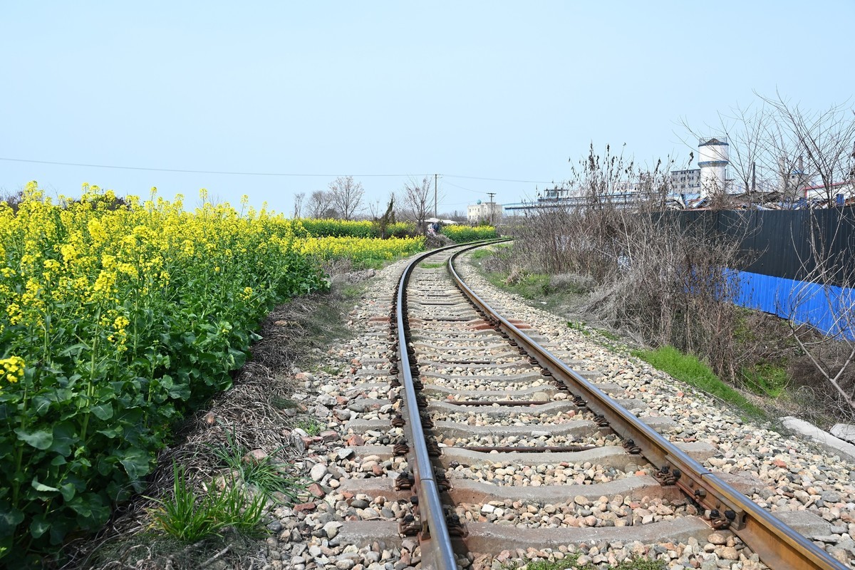 Z28-75 F2.8新镜头试机