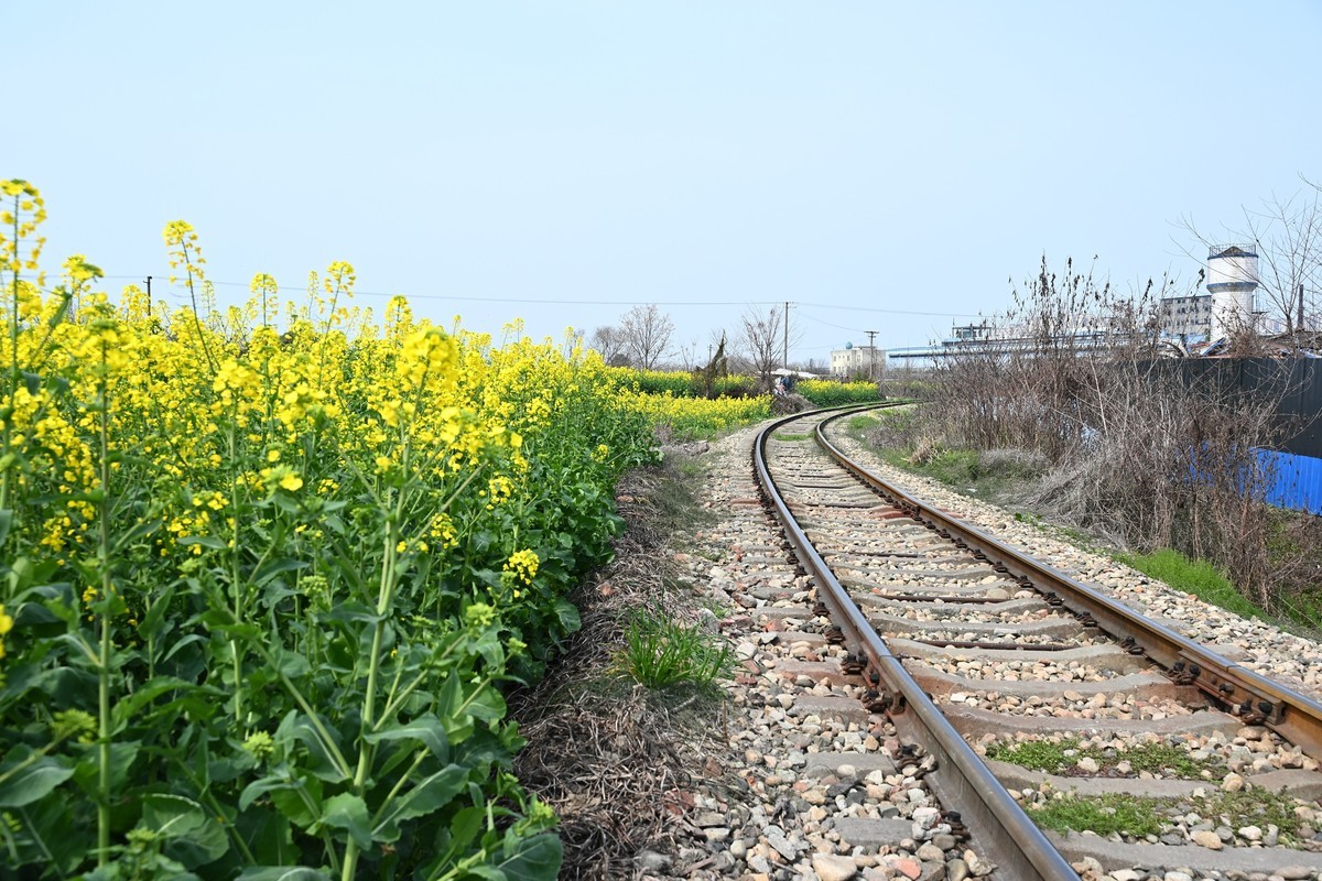 Z28-75 F2.8新镜头试机