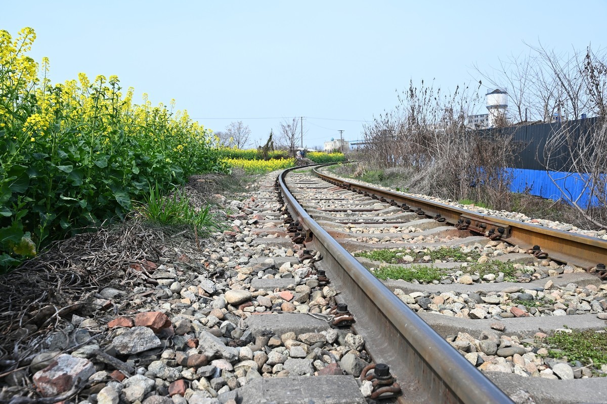 Z28-75 F2.8新镜头试机