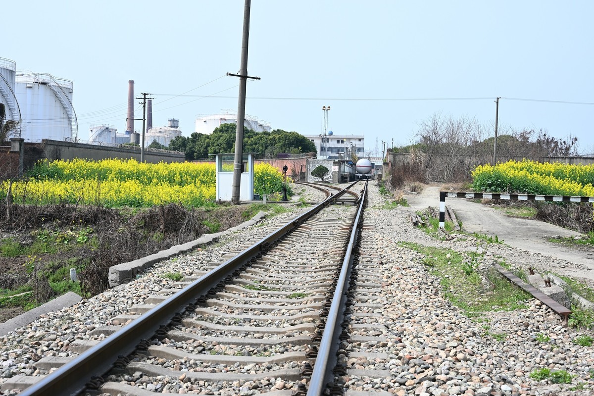 Z28-75 F2.8新镜头试机