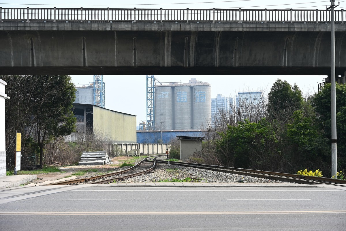 Z28-75 F2.8新镜头试机