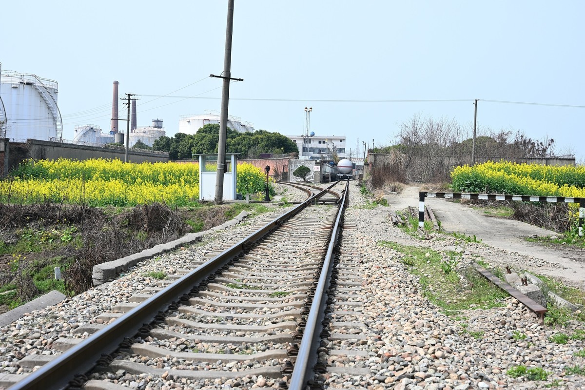 Z28-75 F2.8新镜头试机