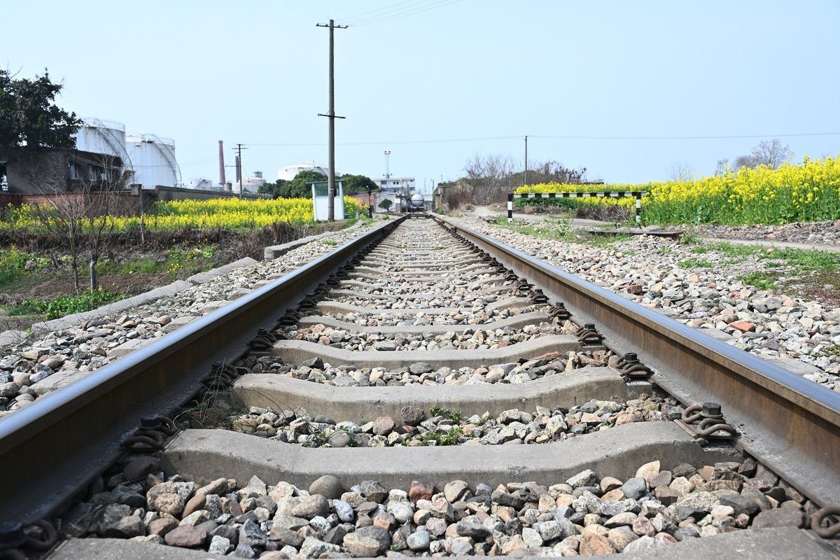 Z28-75 F2.8新镜头试机