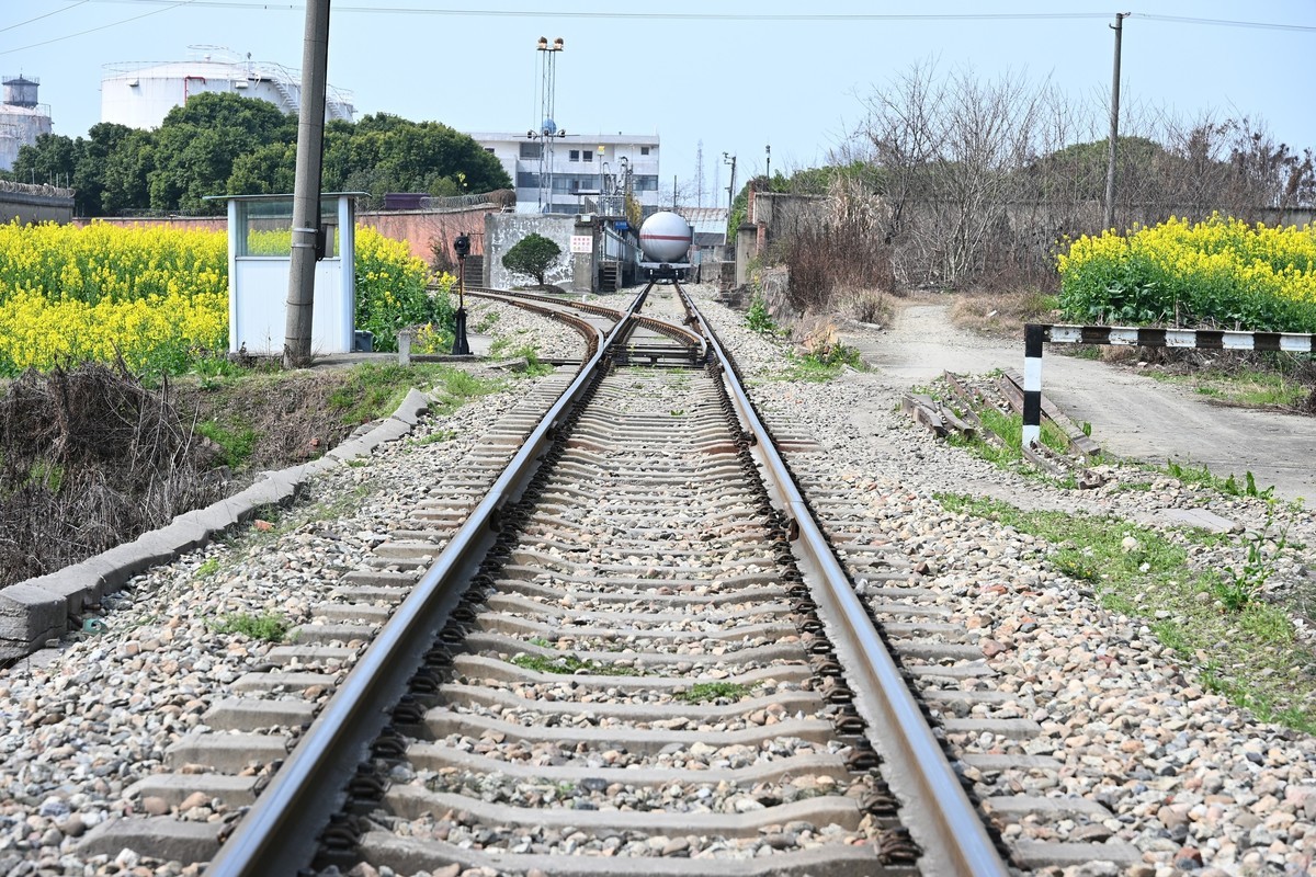 Z28-75 F2.8新镜头试机