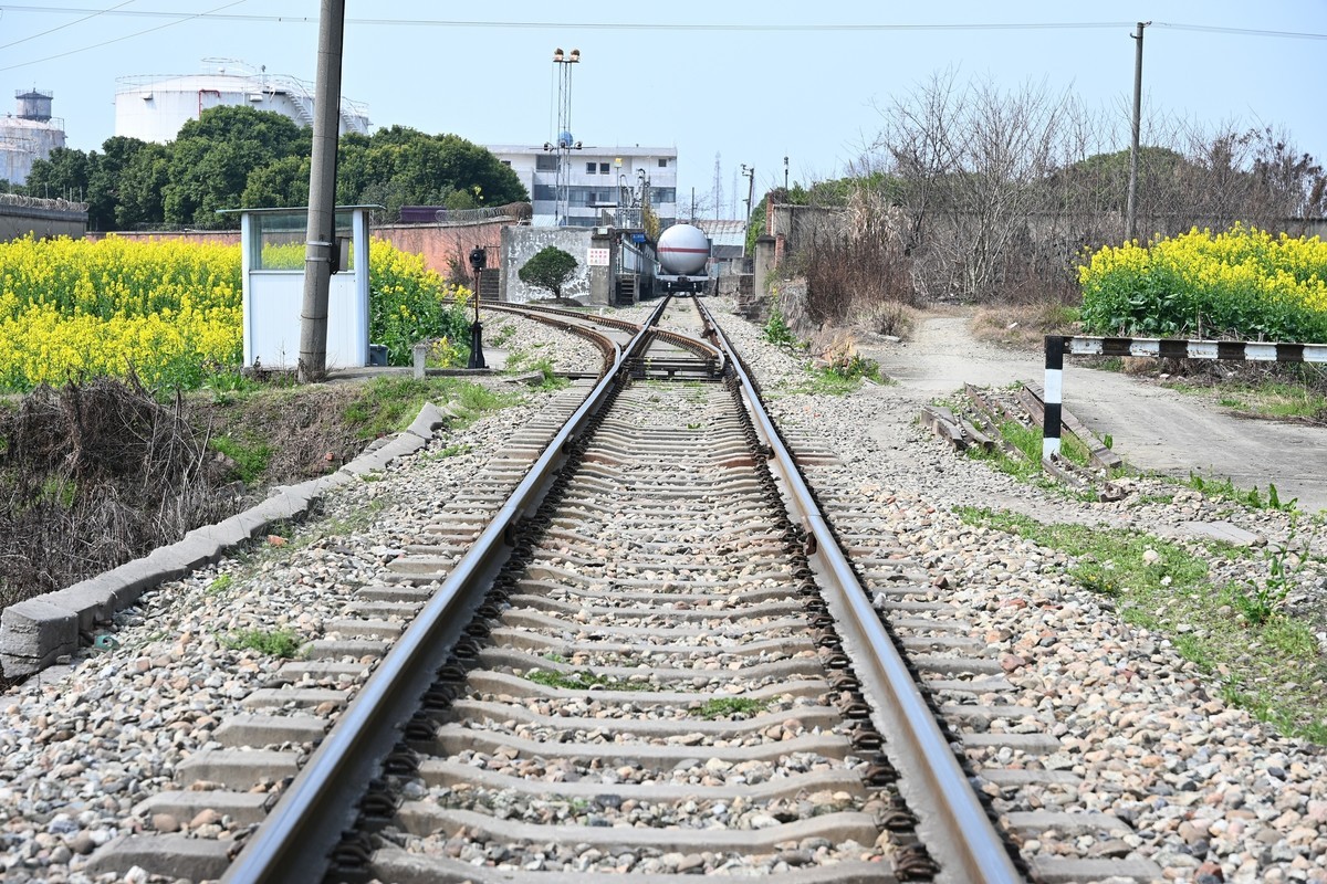 Z28-75 F2.8新镜头试机