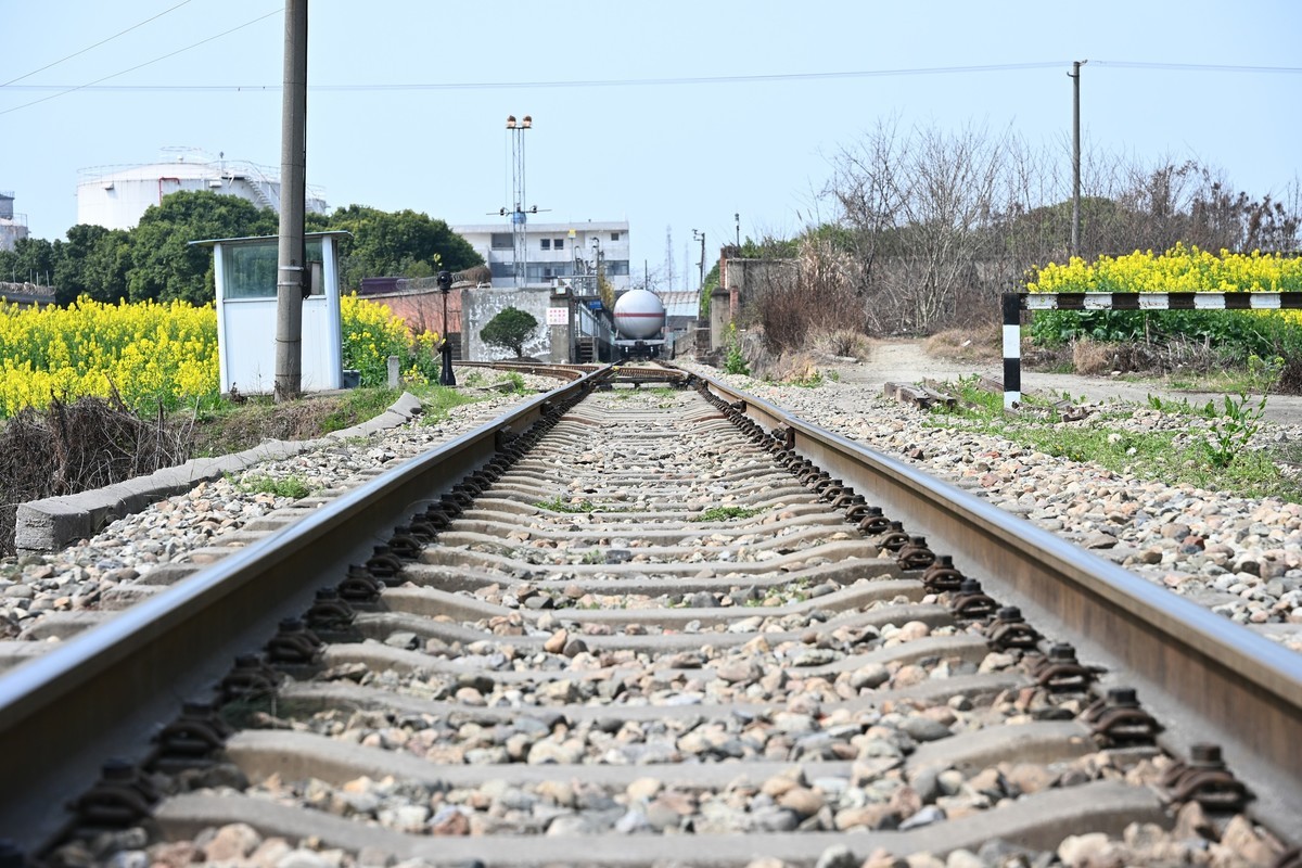 Z28-75 F2.8新镜头试机