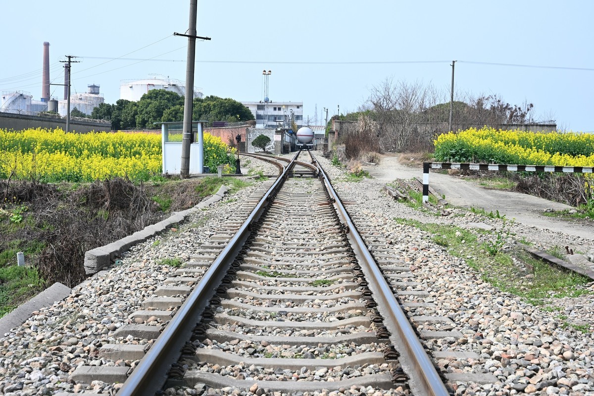 Z28-75 F2.8新镜头试机