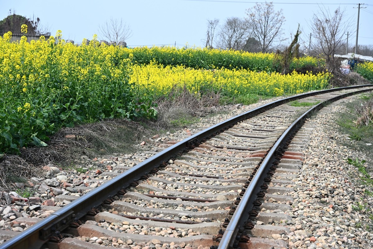 Z28-75 F2.8新镜头试机