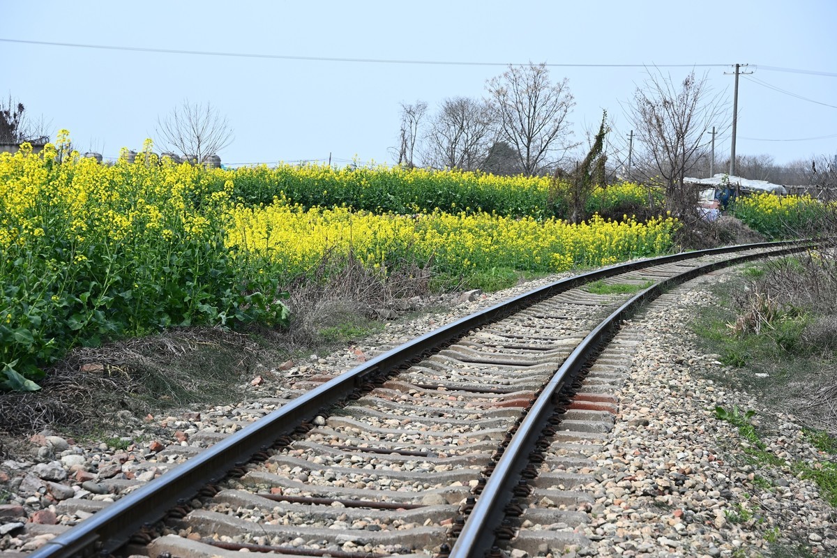 Z28-75 F2.8新镜头试机