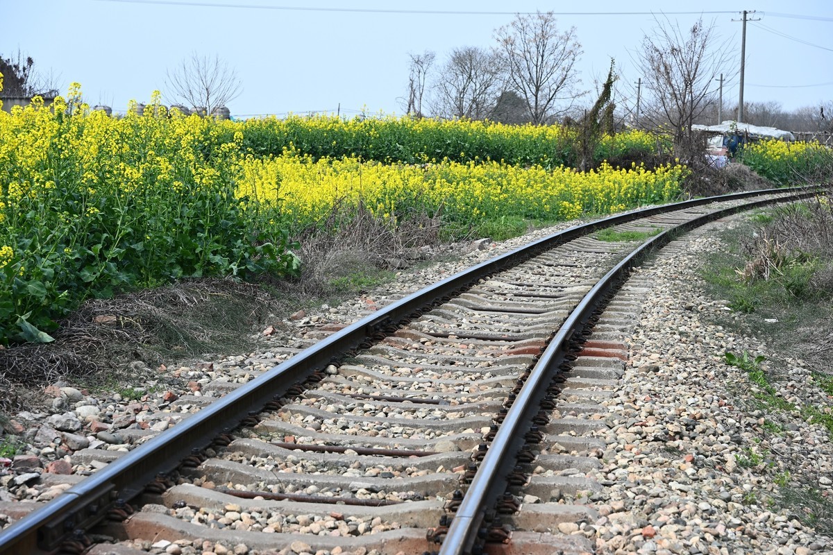 Z28-75 F2.8新镜头试机