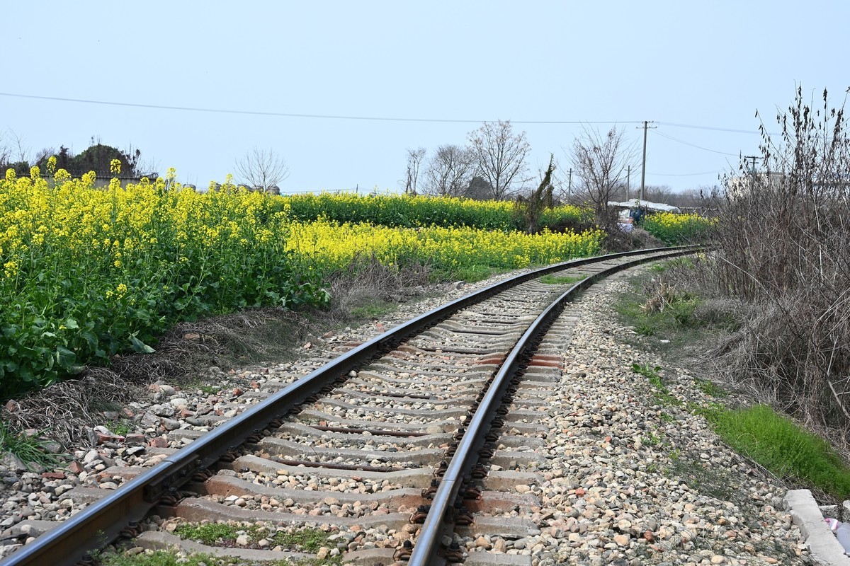 Z28-75 F2.8新镜头试机