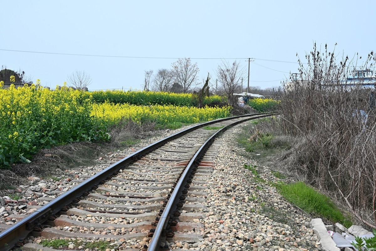 Z28-75 F2.8新镜头试机