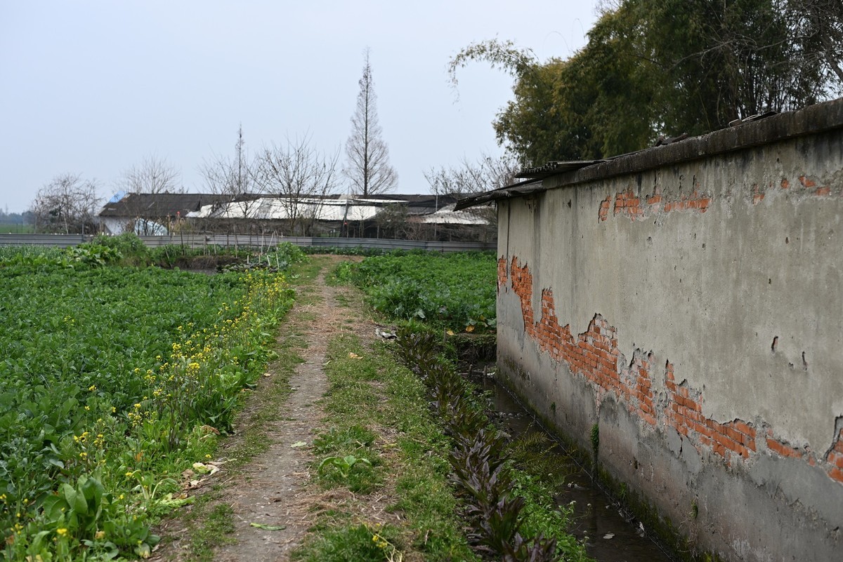 新机用FTZ转接头用单反镜头拍照