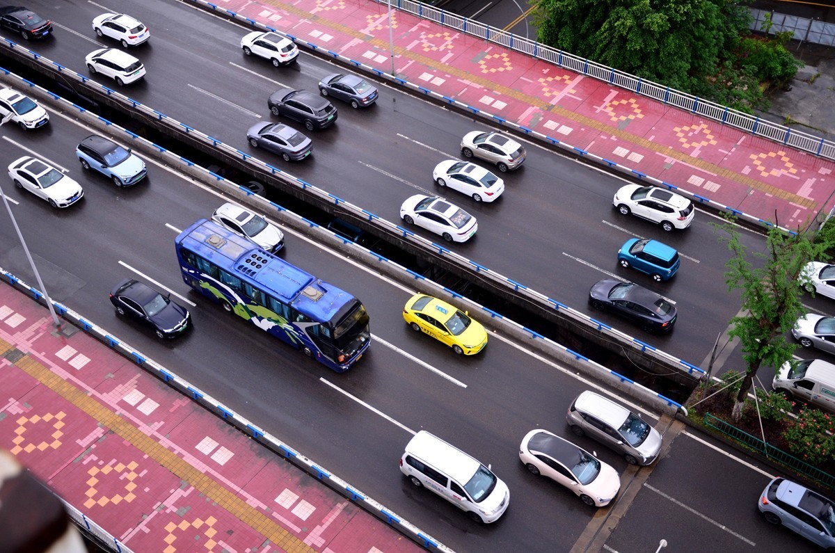 翠绿的黄桷树叶