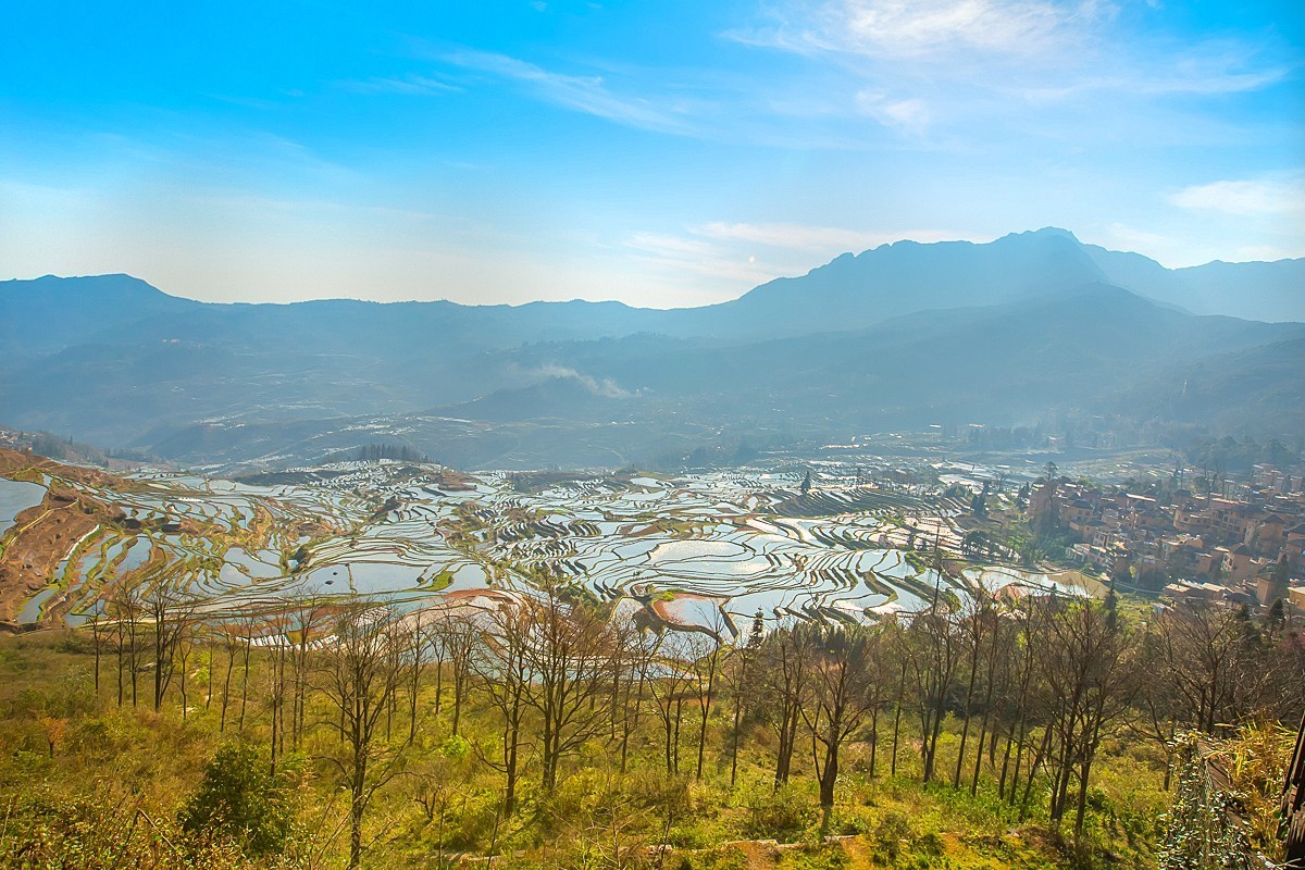 2025-04-24云南元阳多依树梯田（二）