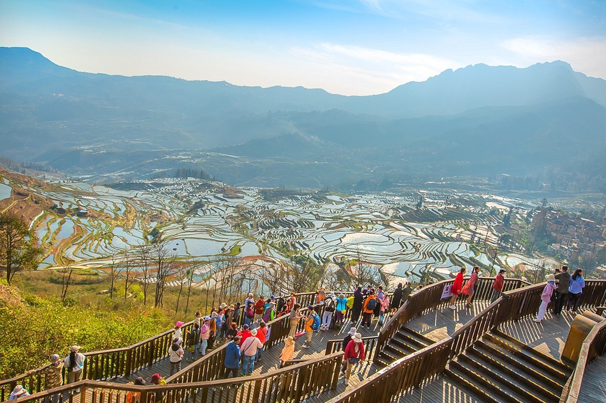 2025-04-24云南元阳多依树梯田（二）