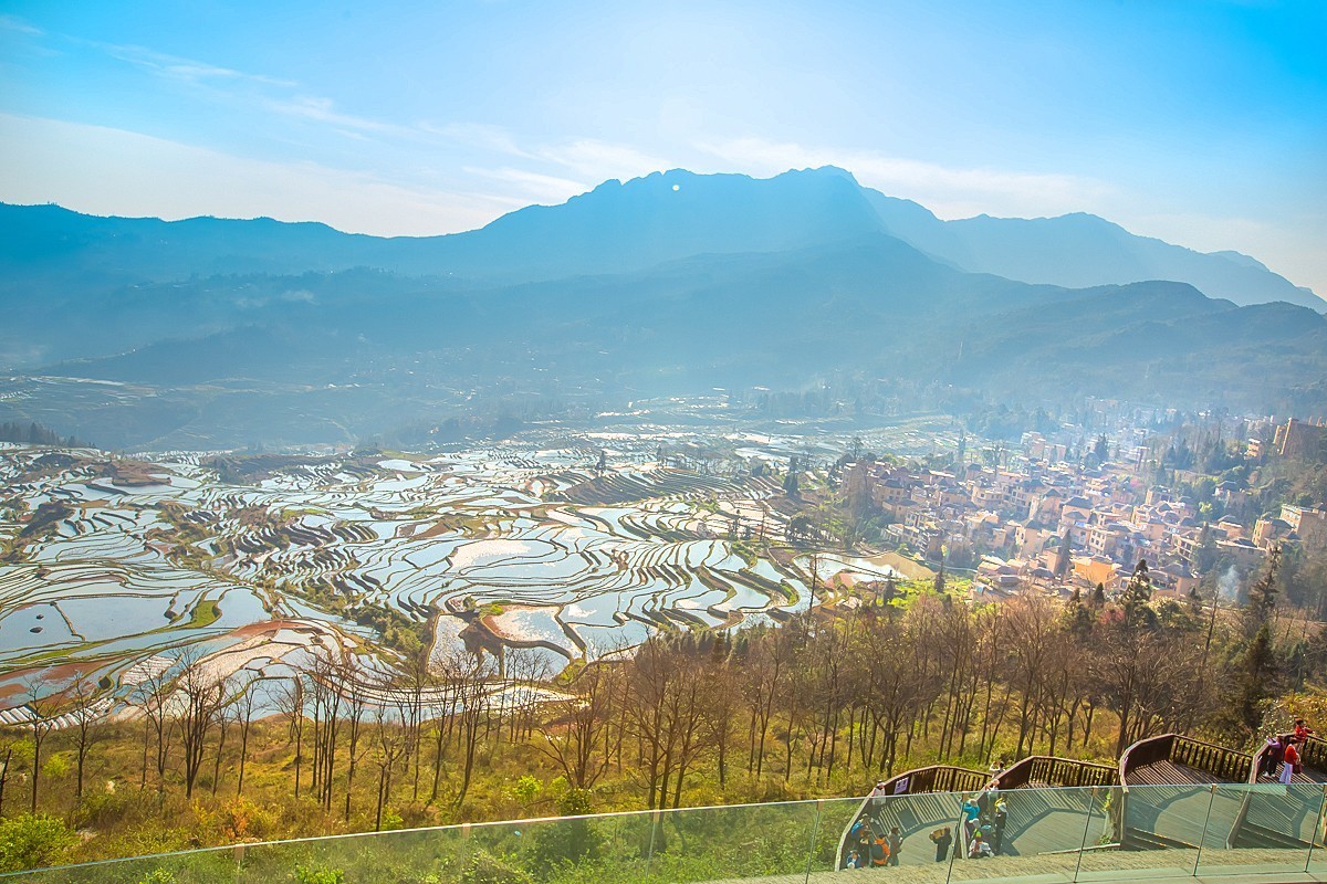 2025-04-24云南元阳多依树梯田（二）