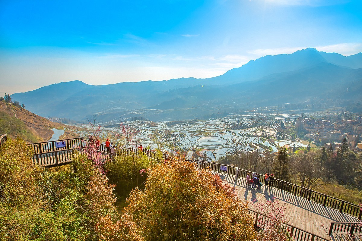 2025-04-24云南元阳多依树梯田（二）