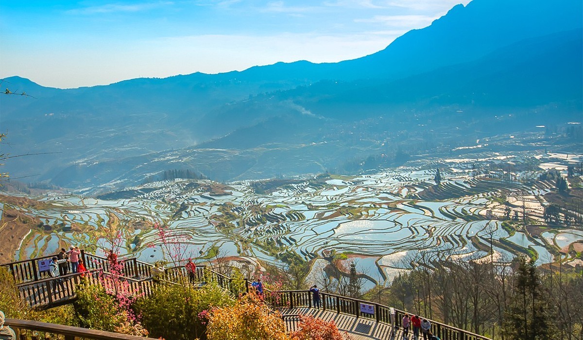 2025-04-24云南元阳多依树梯田（二）