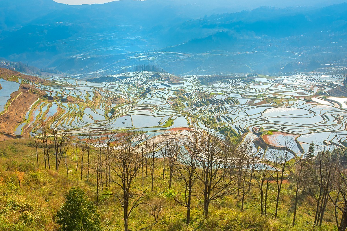 2025-04-24云南元阳多依树梯田（二）