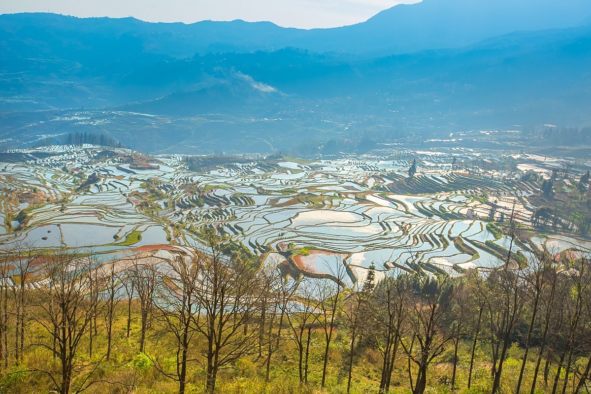 2025-04-24云南元阳多依树梯田（二）