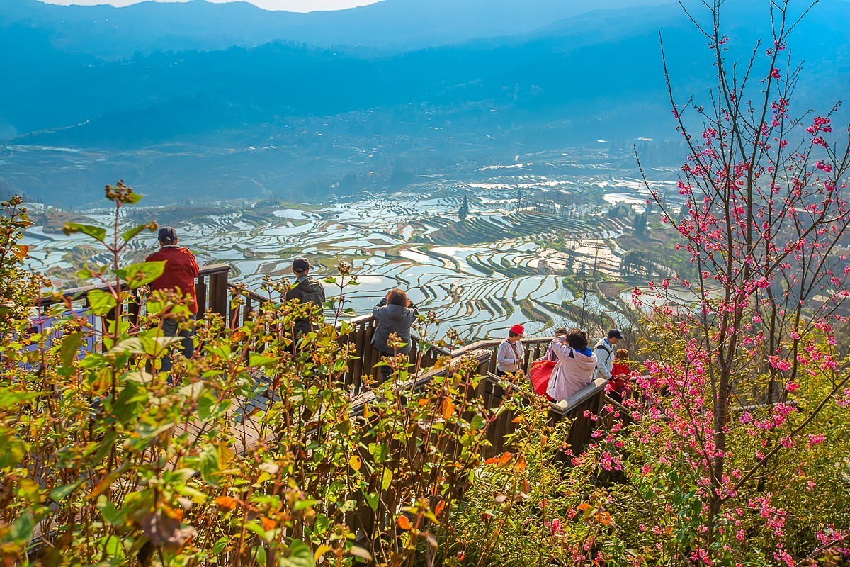 2025-04-24云南元阳多依树梯田（二）