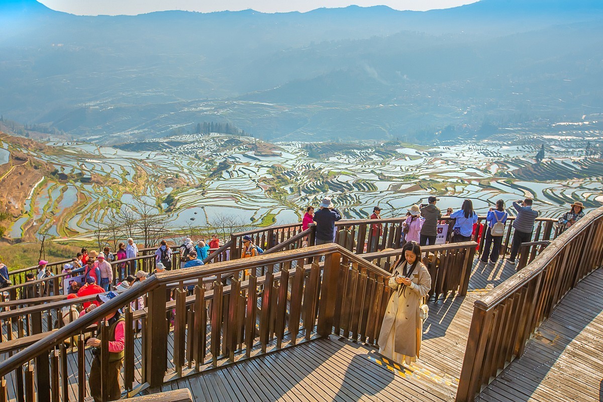 2025-04-24云南元阳多依树梯田（二）