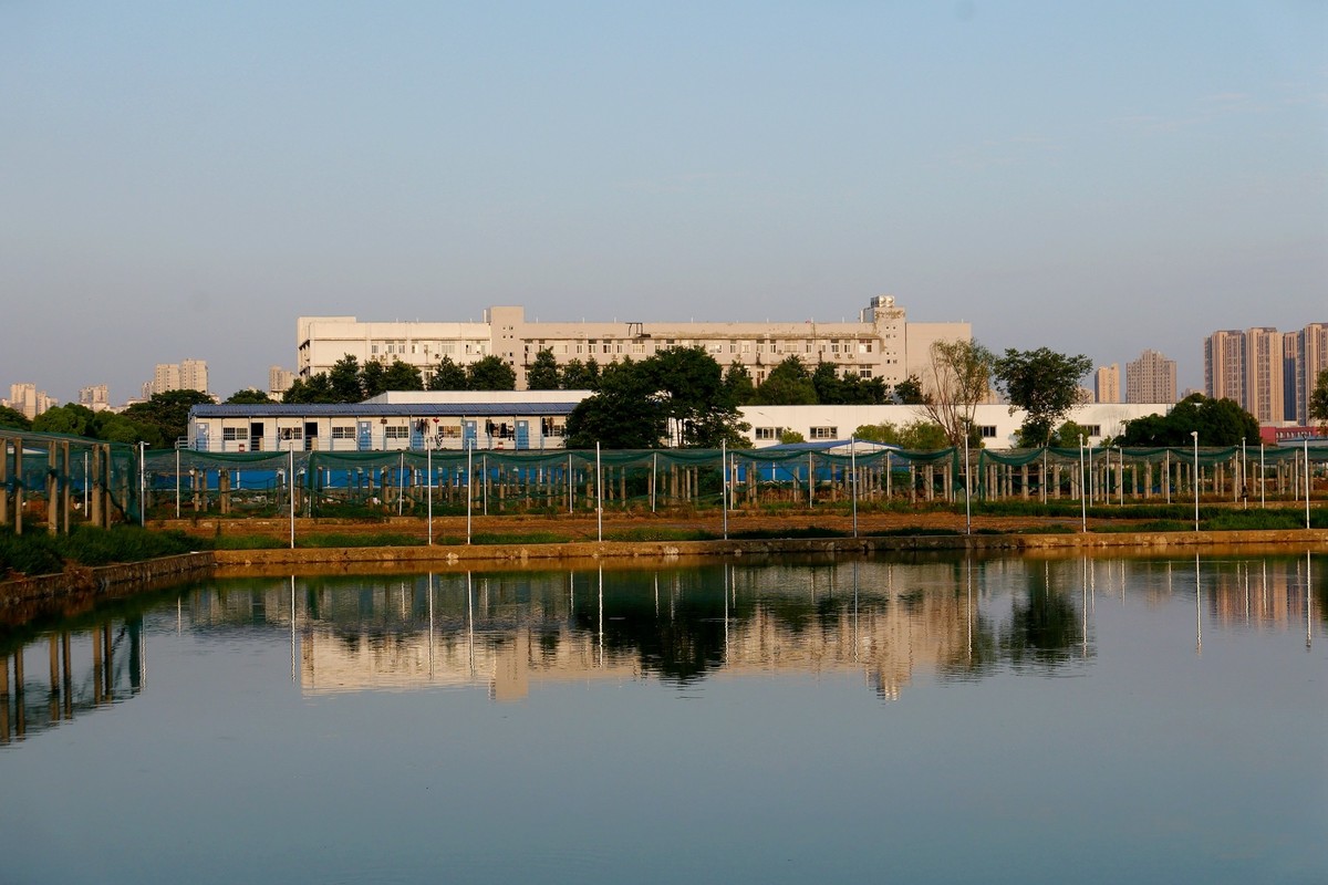 武汉映像----华中农业大学风光！