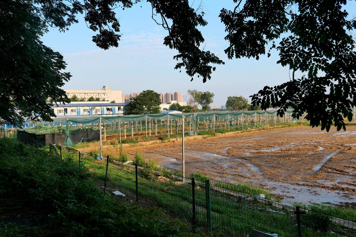 武汉映像----华中农业大学风光！