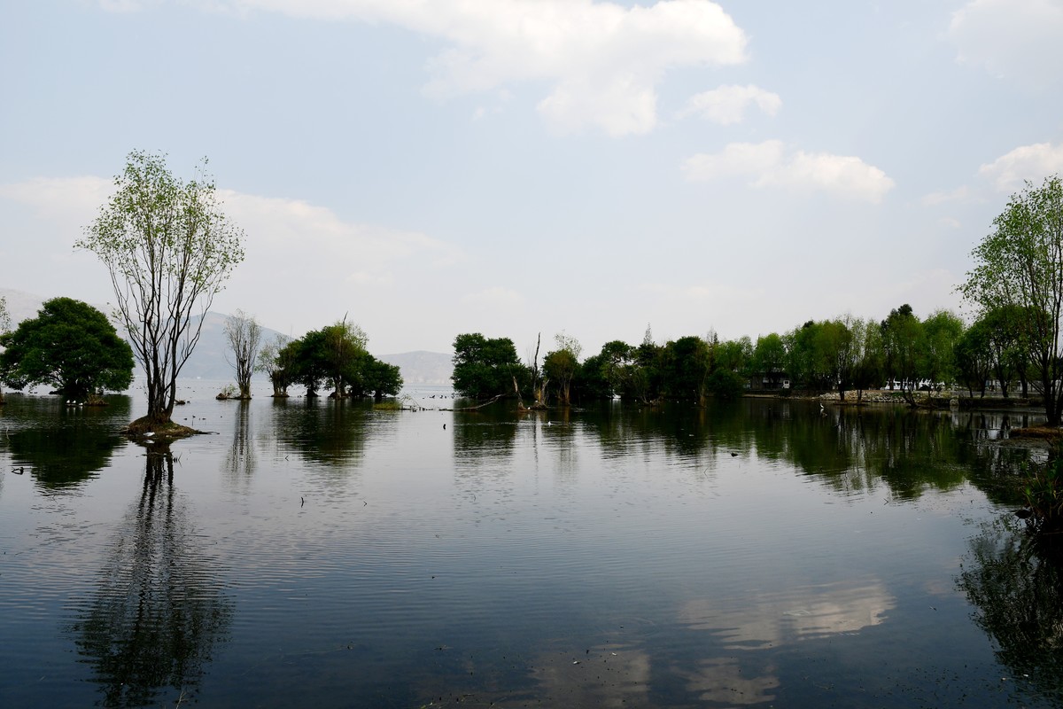 云南 上海游之九 —— 洱海风光掠影（2）