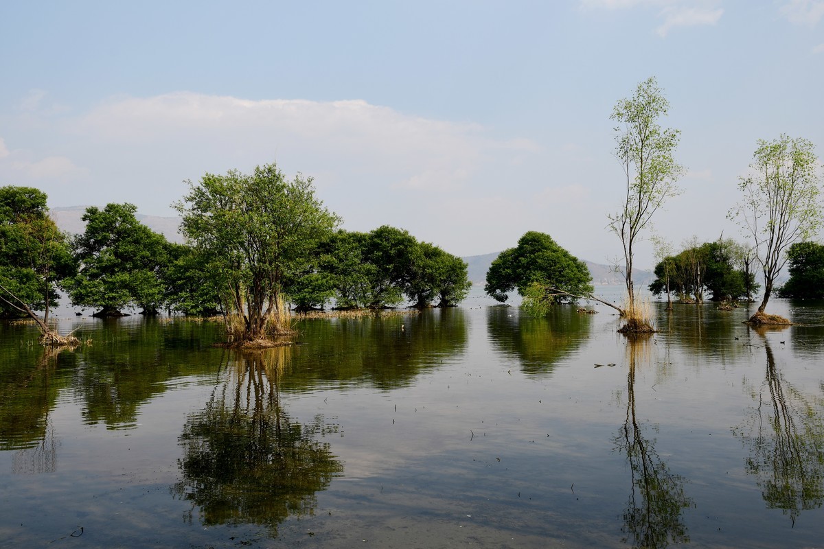 云南 上海游之九 —— 洱海风光掠影（2）