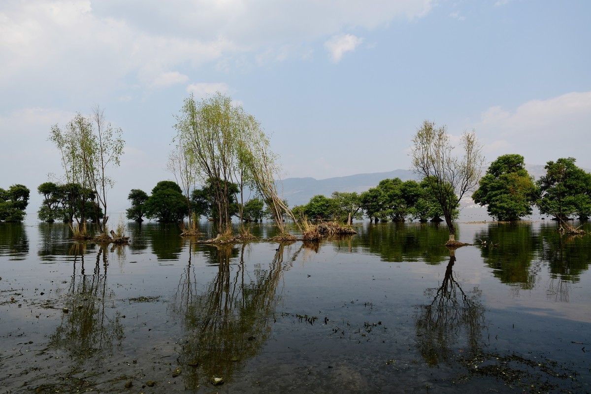 云南 上海游之九 —— 洱海风光掠影（2）