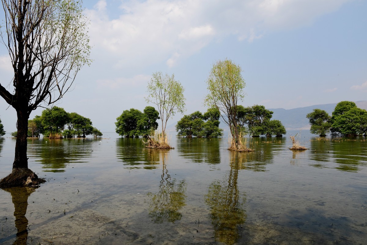 云南 上海游之九 —— 洱海风光掠影（2）